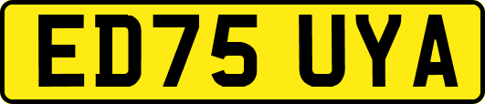 ED75UYA