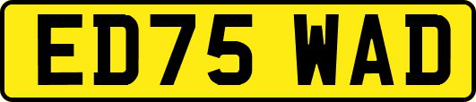 ED75WAD