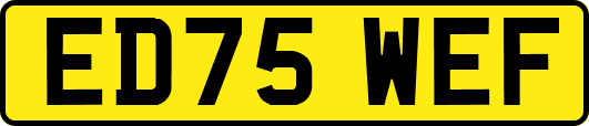 ED75WEF