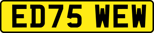 ED75WEW