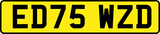 ED75WZD