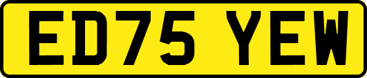 ED75YEW