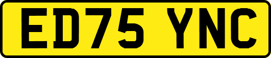 ED75YNC