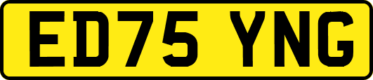 ED75YNG