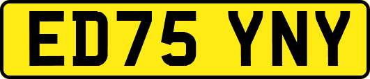 ED75YNY