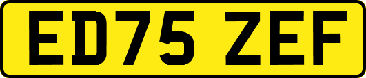 ED75ZEF