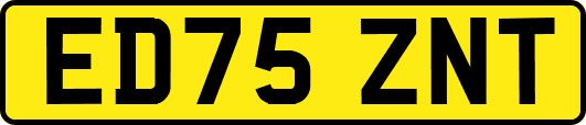 ED75ZNT