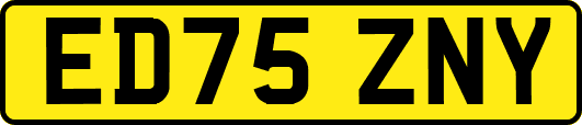 ED75ZNY