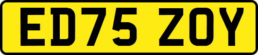 ED75ZOY
