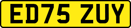 ED75ZUY