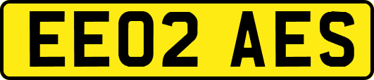 EE02AES