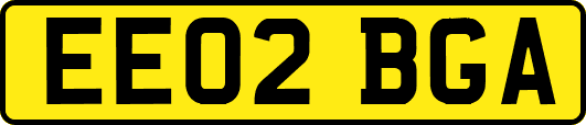 EE02BGA