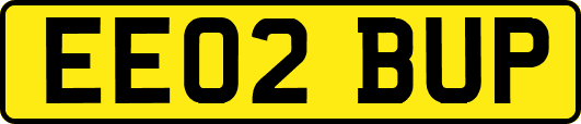EE02BUP