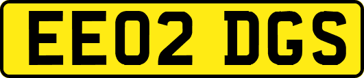 EE02DGS