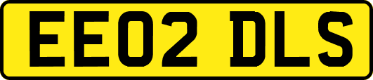 EE02DLS