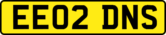 EE02DNS