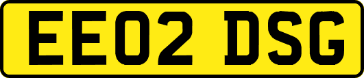 EE02DSG
