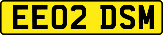 EE02DSM