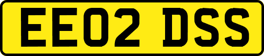 EE02DSS