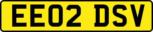 EE02DSV