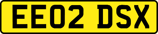 EE02DSX