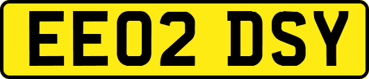 EE02DSY