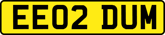 EE02DUM