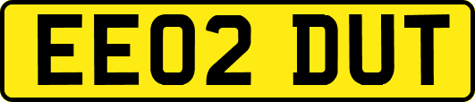 EE02DUT