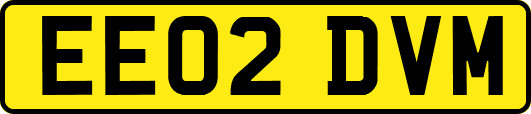 EE02DVM