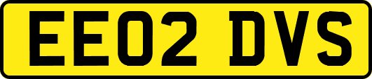 EE02DVS