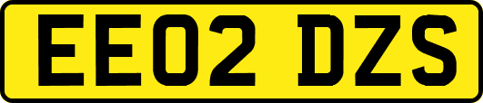 EE02DZS