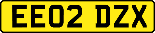EE02DZX