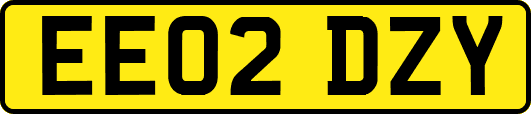 EE02DZY