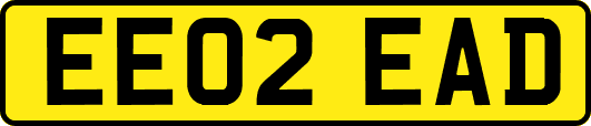 EE02EAD