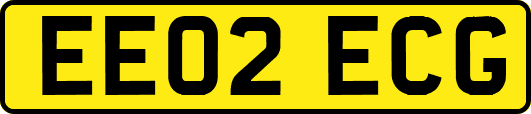 EE02ECG