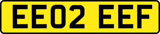 EE02EEF