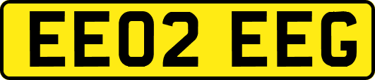 EE02EEG
