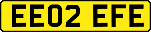 EE02EFE