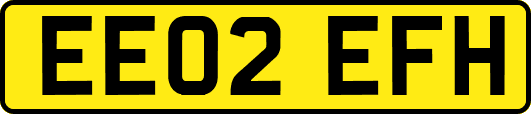 EE02EFH