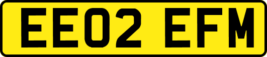 EE02EFM