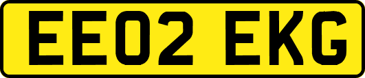 EE02EKG