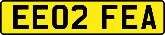 EE02FEA