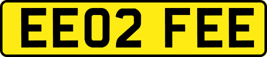 EE02FEE