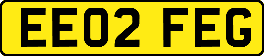 EE02FEG