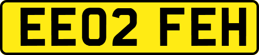 EE02FEH