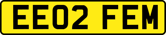 EE02FEM