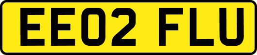 EE02FLU