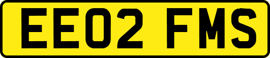 EE02FMS