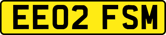 EE02FSM