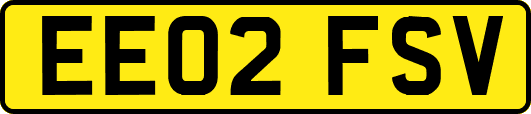 EE02FSV